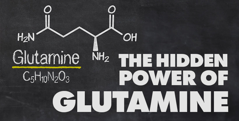 The Hidden Power of Glutamine