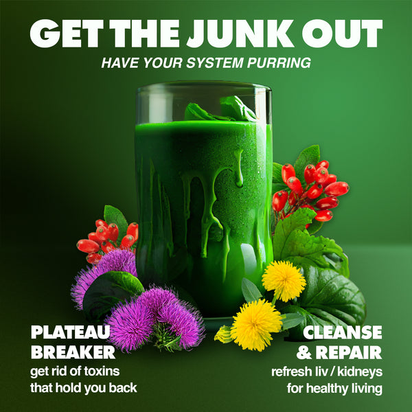 green smoothie, detox / cleanse. Liv Clean product benefits listed: break plateau, get rid of toxins, cleanse & repair. Herbs featured: milk thistle, dandelion root, barberry