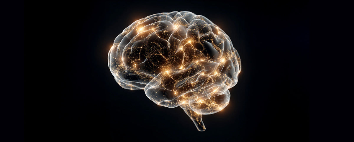 The Incredible Brain Benefits of Creatine