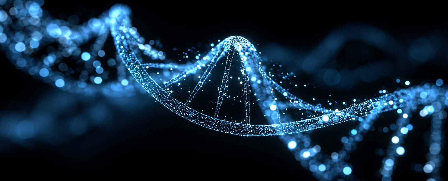 Paraxanthine: Reinventing Energy and Performance