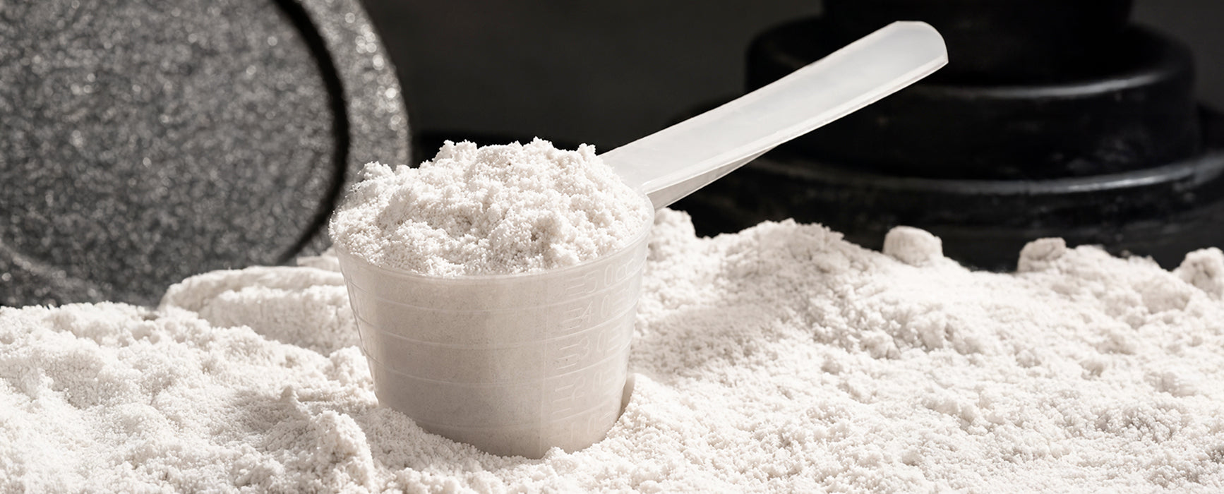 Three Problems of Protein Powders