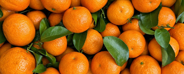 Boost Your Immunity with These Nutrients