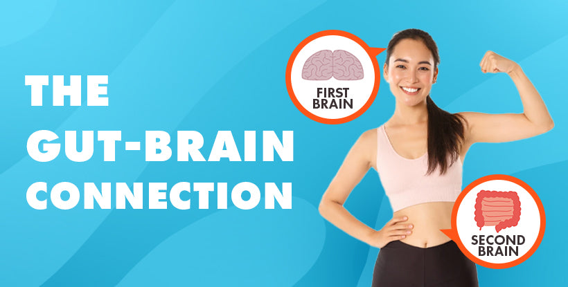 The Gut-Brain Connection