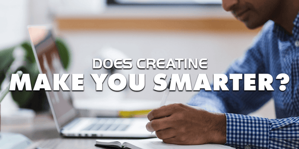 Does creatine make you smarter?