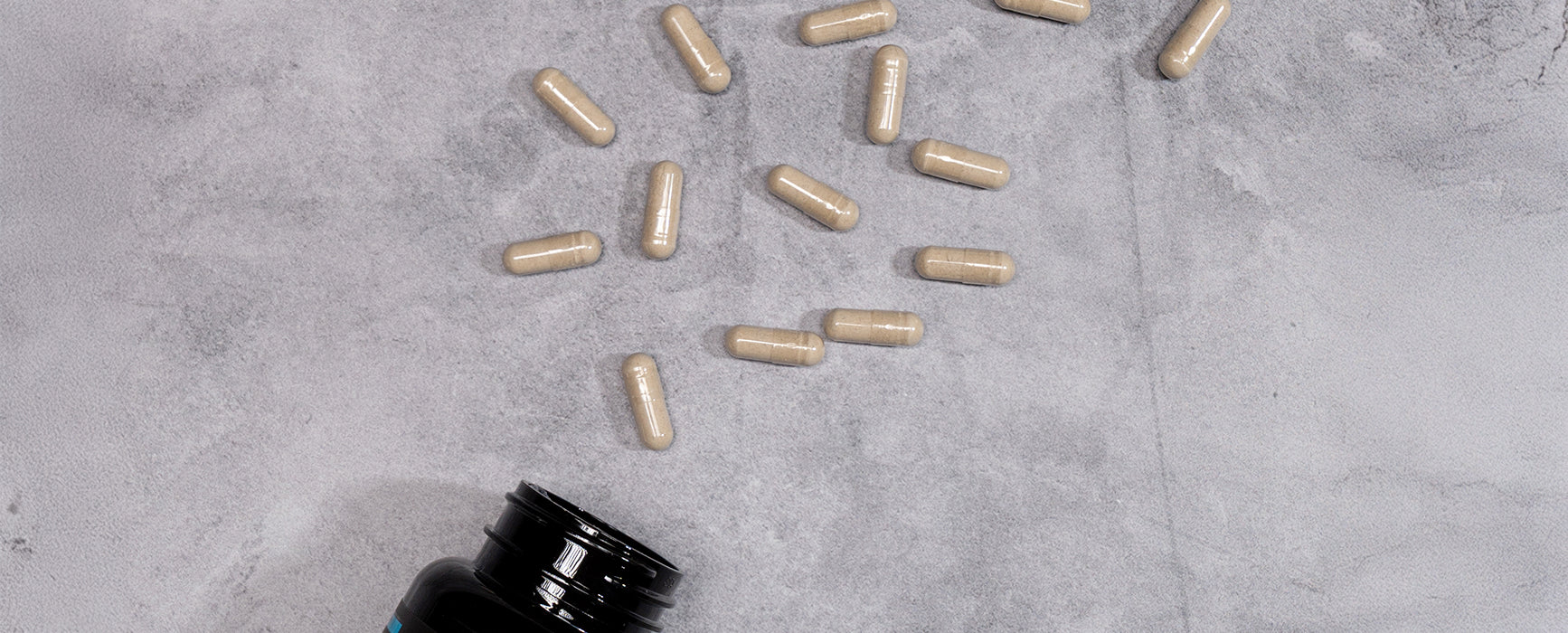 Can Probiotics Improve Performance?