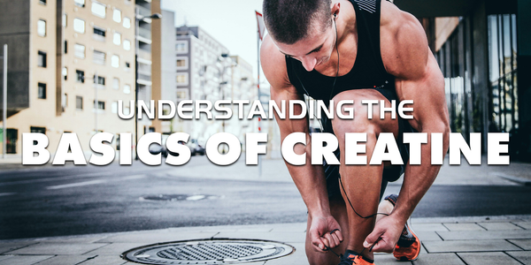 understanding the basics of creatine