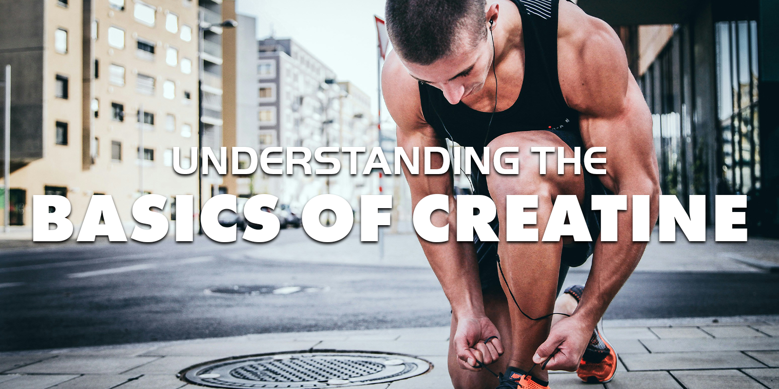 Understanding the Basics of Creatine – Gains in Bulk