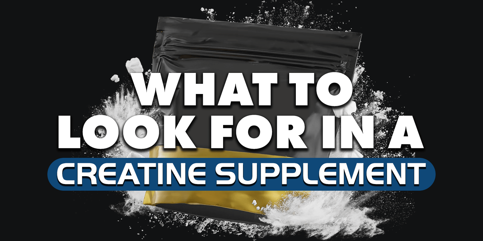 what to look for in a creatine supplement