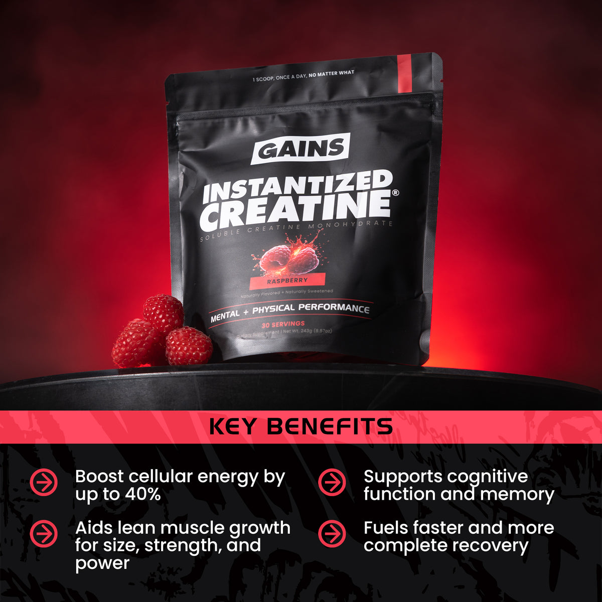 Gains Instantized Creatine package with raspberries on a red background benefits | raspberry