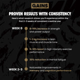 Infographic detailing gains from consistent creative use with text on a dark background | original