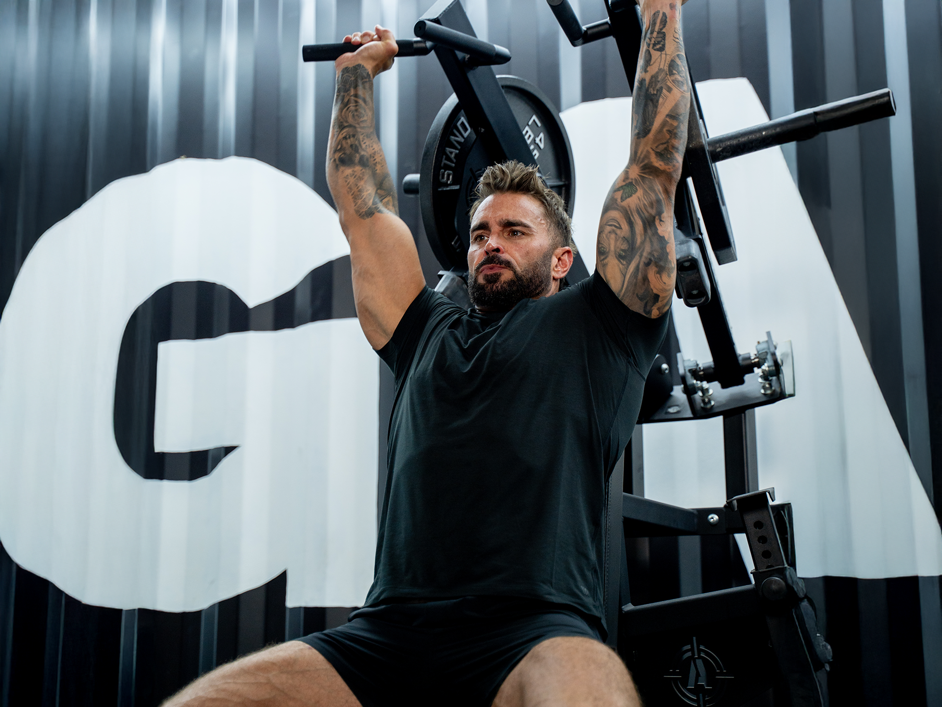 Stack Workout Muscle Building Stack – Gains in Bulk