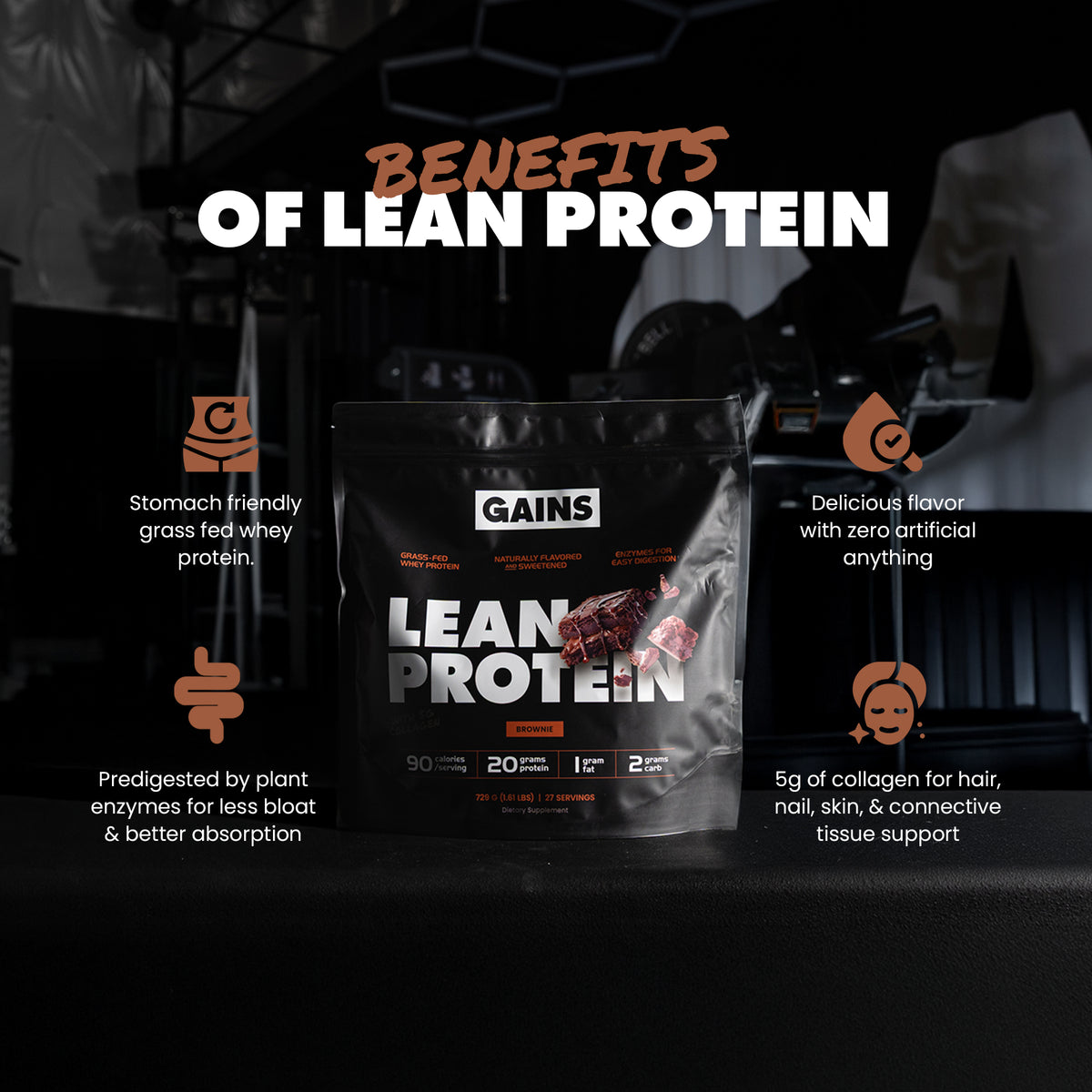 Lean Protein | Brownie