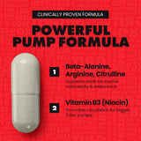 Argi-Pump